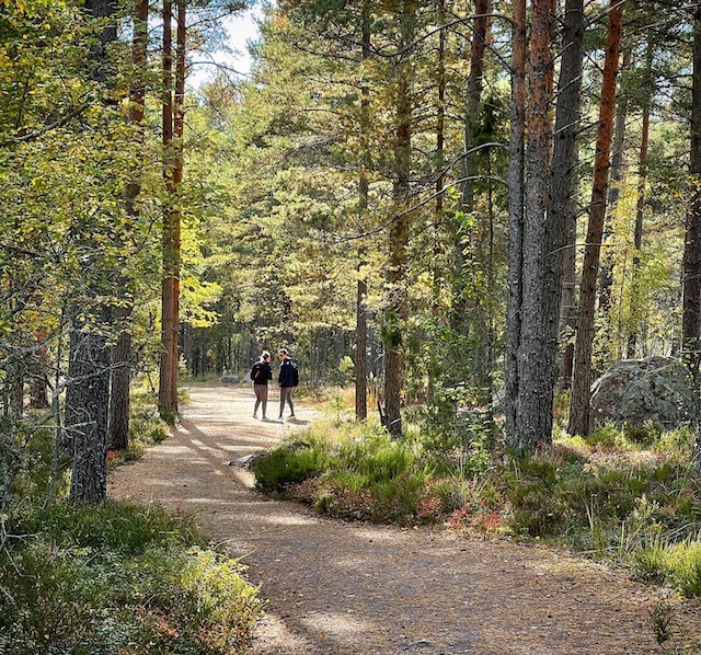 5 toimivaa keinoa vähentää stressiä