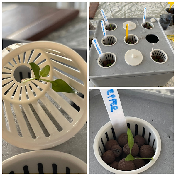 Huhtikuun kuvat kertovat