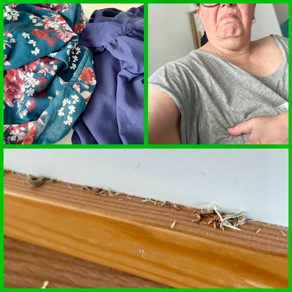 Kesäkuun kuvat kertovat