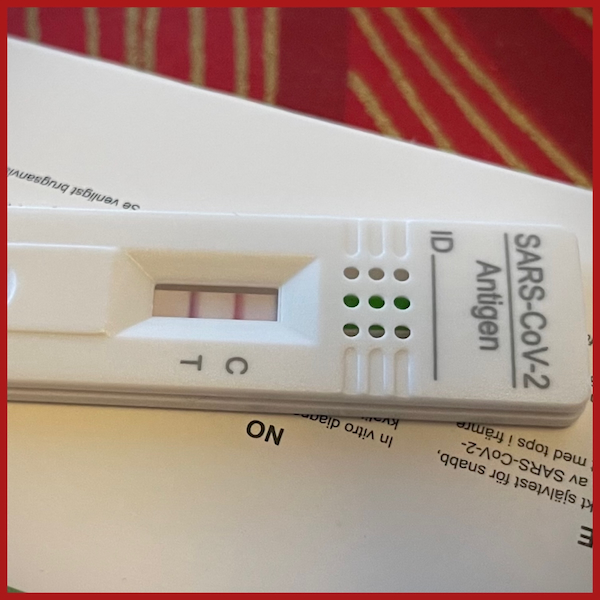 Marraskuun kuvat kertovat