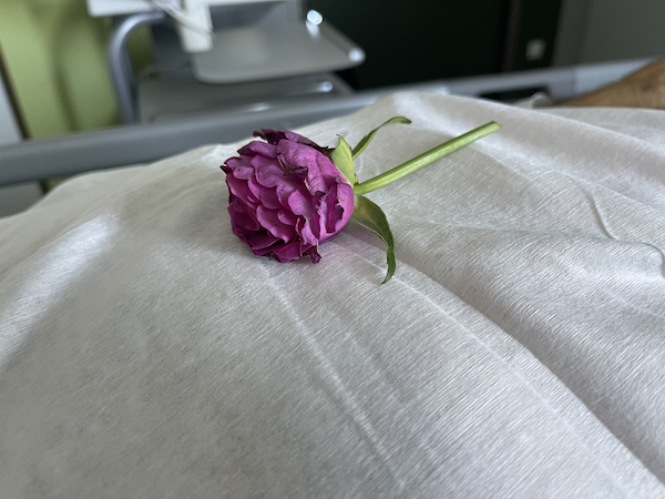 Onni, kohtalo ja kuolema. Kuvassa ruusu vainajan valkean lakanan päällä.