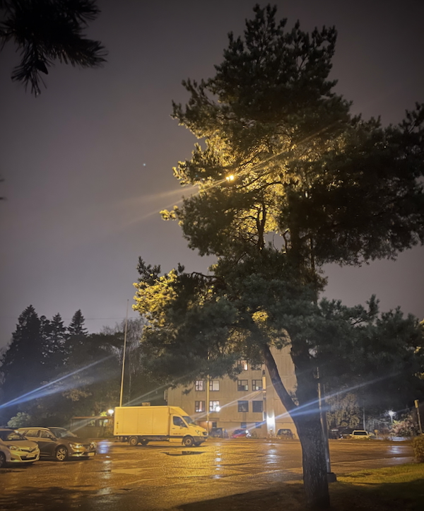 Lokakuun valoja ja varjoja. Kuvassa vesisateinen piha illan pimeydessä.