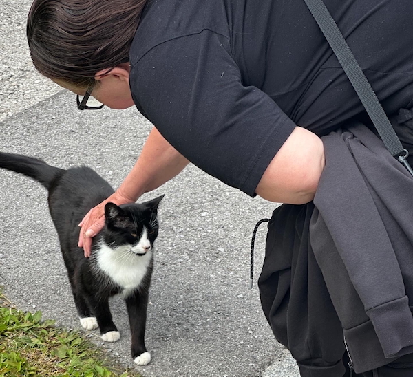 Nainen silittää mustavalkoista kissaa.